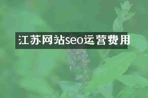 江苏网站seo运营费用