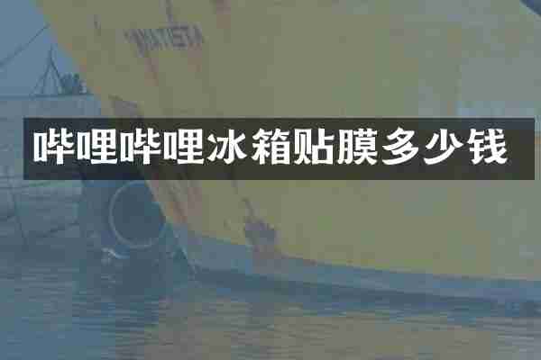 哔哩哔哩冰箱贴膜多少钱