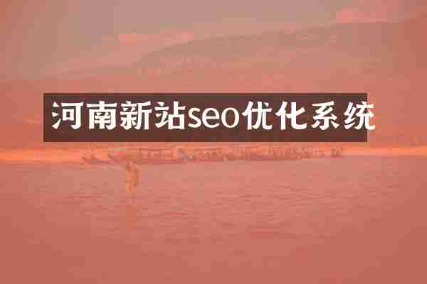 河南新站seo优化系统