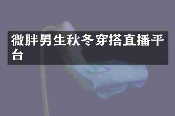 微胖男生秋冬穿搭直播平台