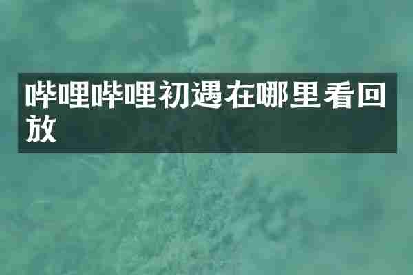 哔哩哔哩初遇在哪里看回放