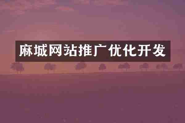 麻城网站推广优化开发