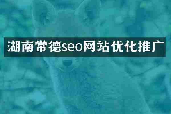 湖南常德seo网站优化推广