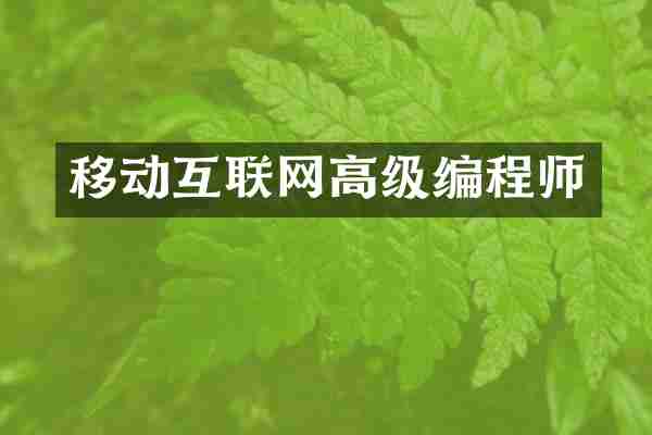 移动互联网高级编程师