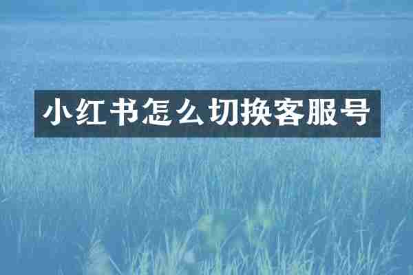 小红书怎么切换客服号