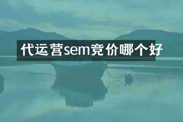 代运营sem竞价哪个好