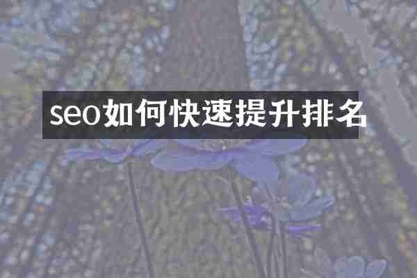 seo如何快速提升排名