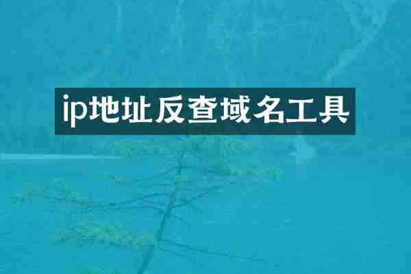ip地址反查域名工具