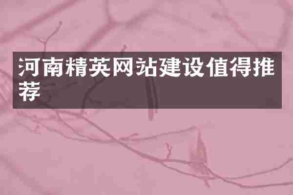 河南精英网站建设值得推荐