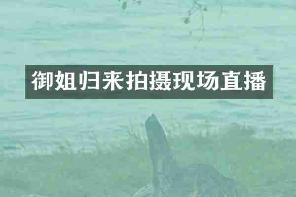 御姐归来拍摄现场直播