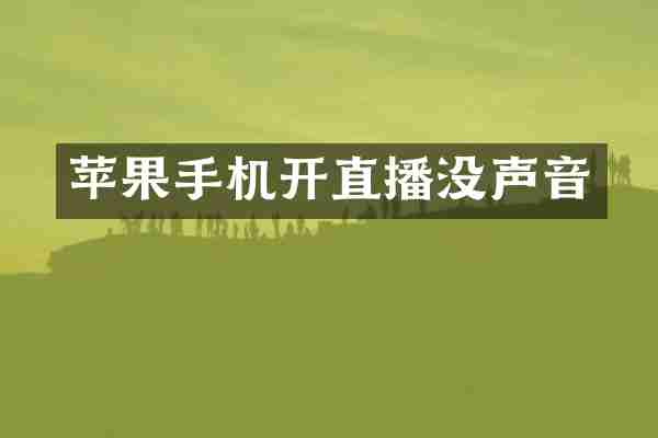 苹果手机开直播没声音
