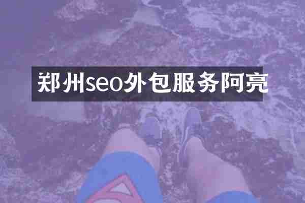 郑州seo外包服务阿亮