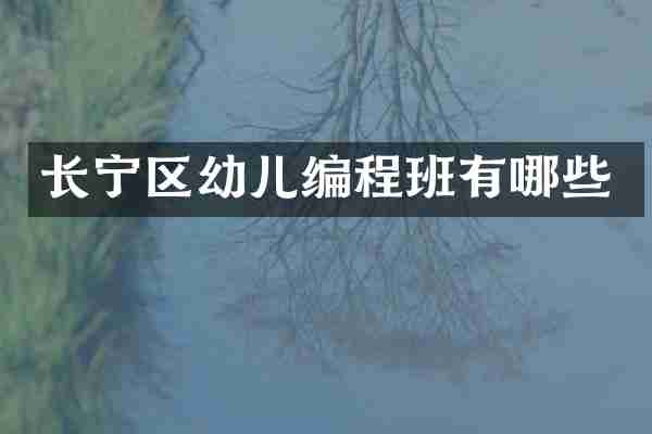 长宁区幼儿编程班有哪些
