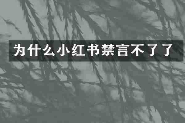 为什么小红书禁言不了了