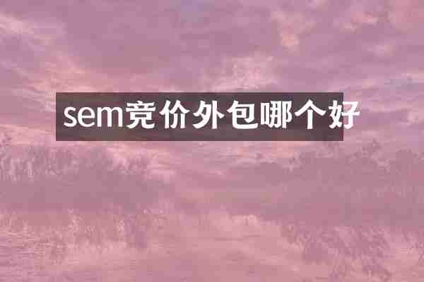 sem竞价外包哪个好