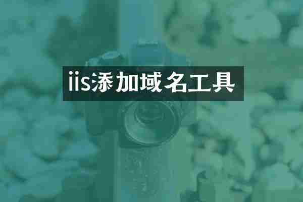 iis添加域名工具