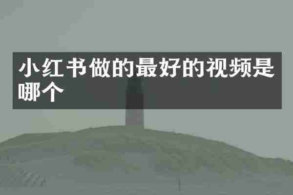 小红书做的最好的视频是哪个