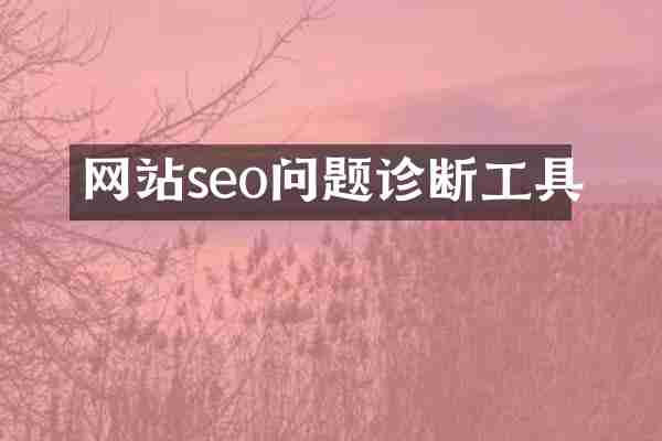 网站seo问题诊断工具