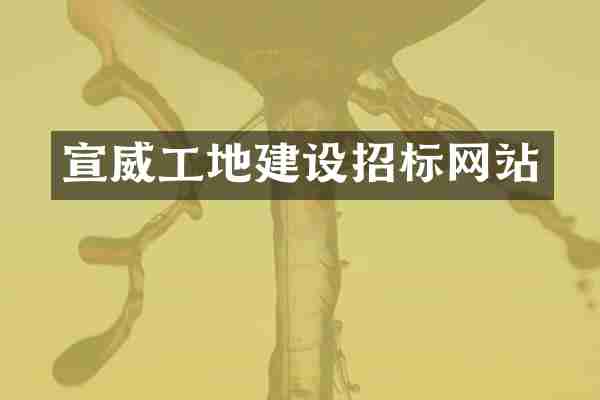 宣威工地建设招标网站