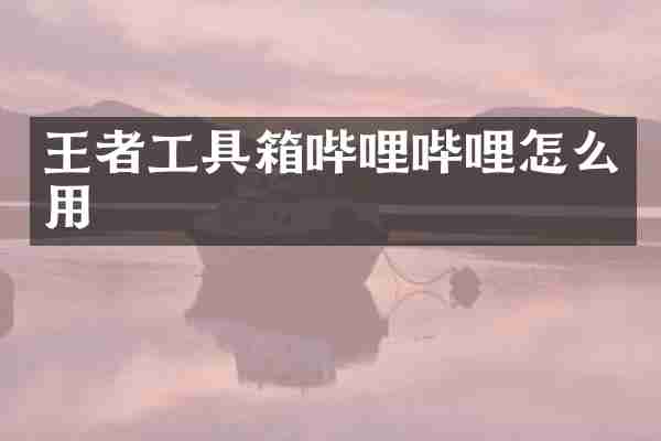 王者工具箱哔哩哔哩怎么用