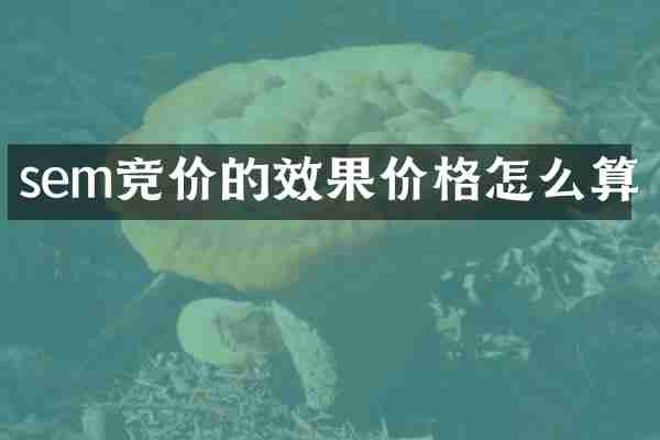 sem竞价的效果价格怎么算