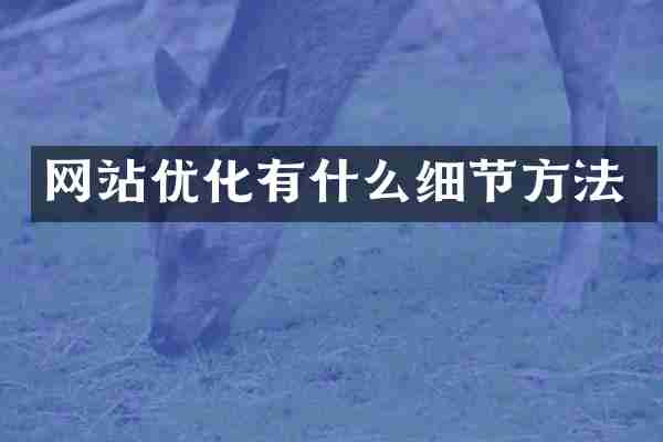 网站优化有什么细节方法