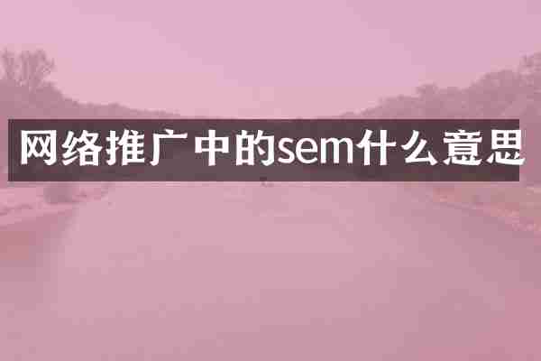 网络推广中的sem什么意思