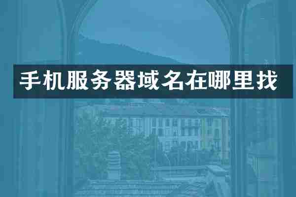 手机服务器域名在哪里找