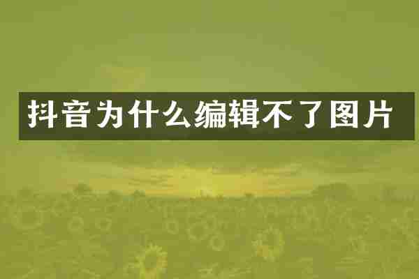抖音为什么编辑不了图片