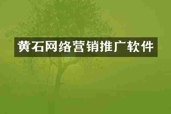 黄石网络营销推广软件
