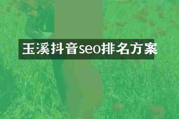 玉溪抖音seo排名方案