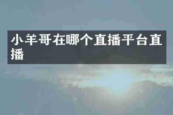 小羊哥在哪个直播平台直播