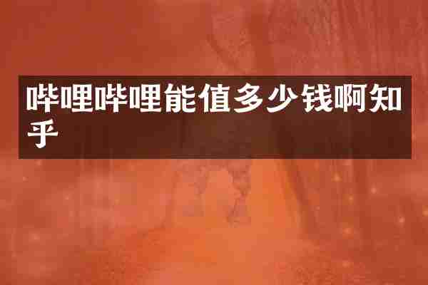 哔哩哔哩能值多少钱啊知乎