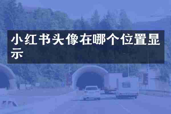 小红书头像在哪个位置显示