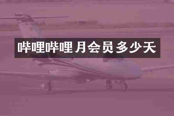 哔哩哔哩月会员多少天