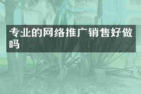 专业的网络推广销售好做吗
