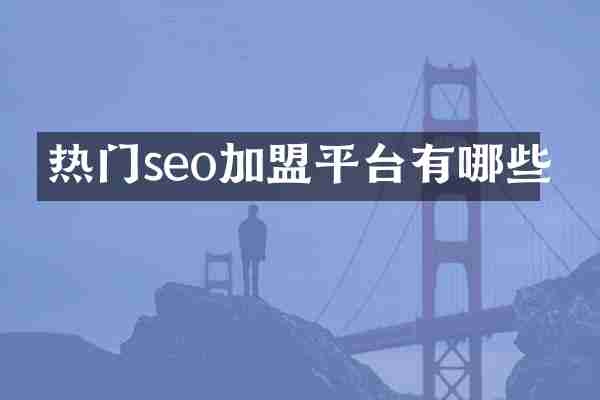 热门seo加盟平台有哪些