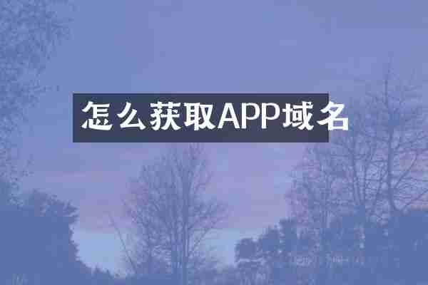 怎么获取APP域名