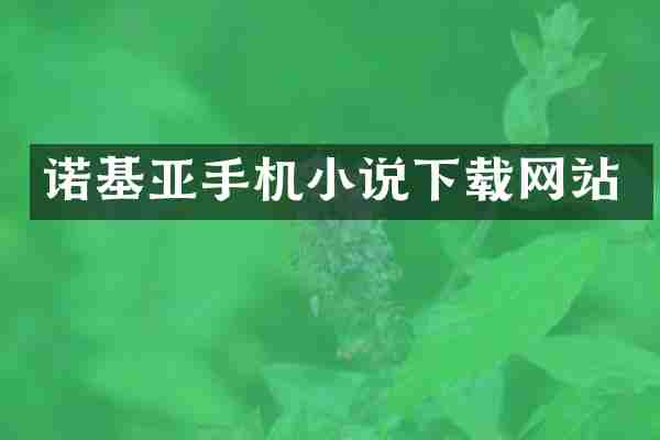 诺基亚手机小说下载网站