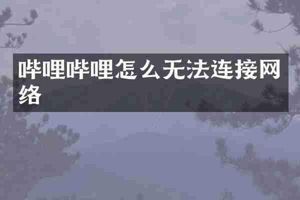 哔哩哔哩怎么无法连接网络