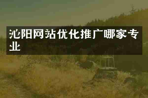 沁阳网站优化推广哪家专业