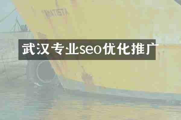 武汉专业seo优化推广