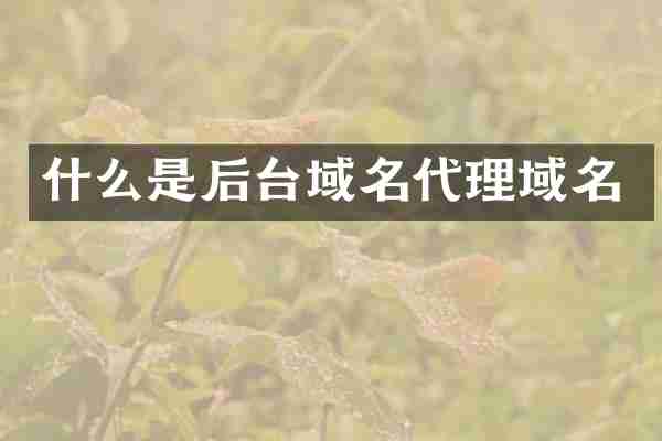 什么是后台域名代理域名