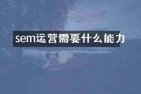 sem运营需要什么能力