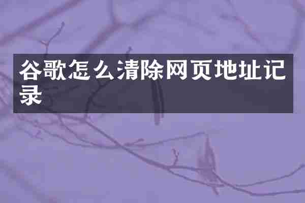 谷歌怎么清除网页地址记录