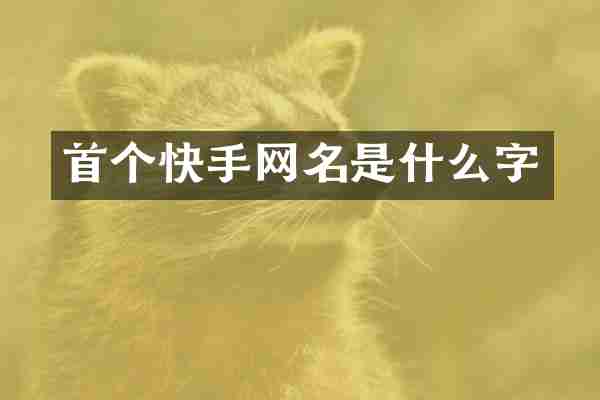 首个快手网名是什么字