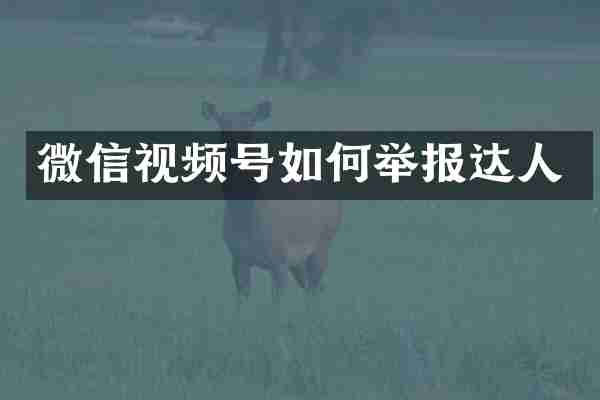 微信视频号如何举报达人