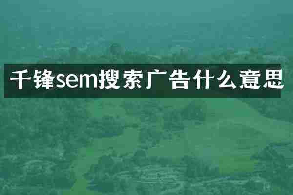 千锋sem搜索广告什么意思