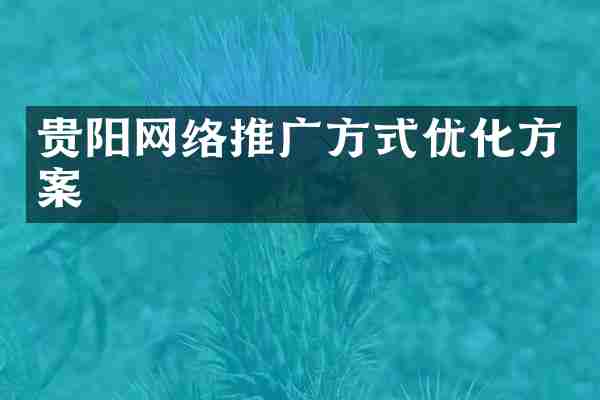 贵阳网络推广方式优化方案