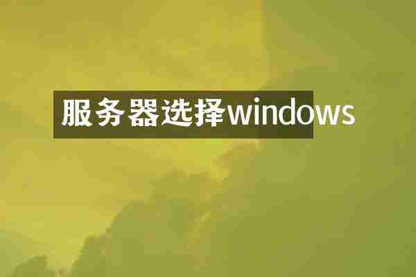 服务器选择windows